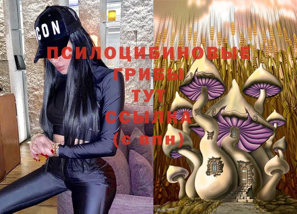 герыч Белокуриха
